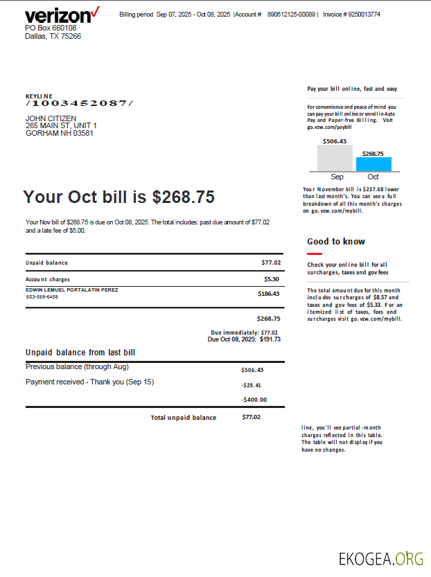 USA Verizon utility bill template in Word and PDF formats, version 3